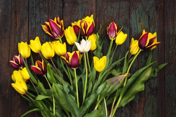 Bouquet of spring tulips — Stock Photo, Image