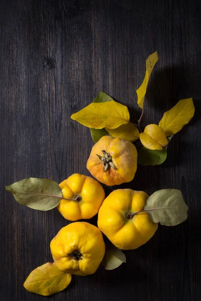 Big beautiful quince fruits — Stock Photo, Image