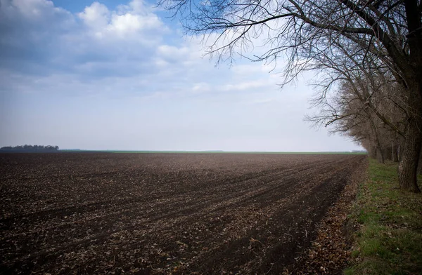 Feld gepflügt und gesät — Stockfoto