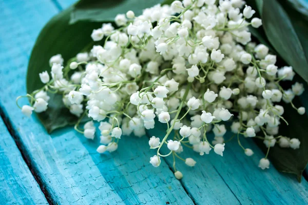 Bouquet de lys de la vallée sur bleu — Photo