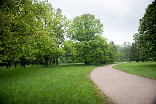 Road in the spring park — Stock Photo, Image