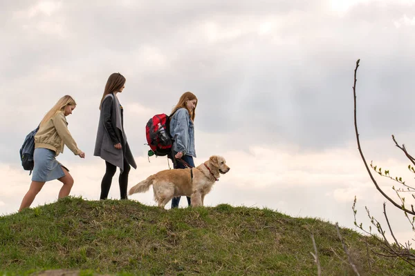 Три девушки с собачьим путешествием — стоковое фото