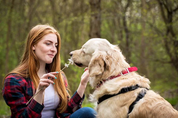 Red-haired young woman feeds the dog marshmallows — Stock Photo, Image