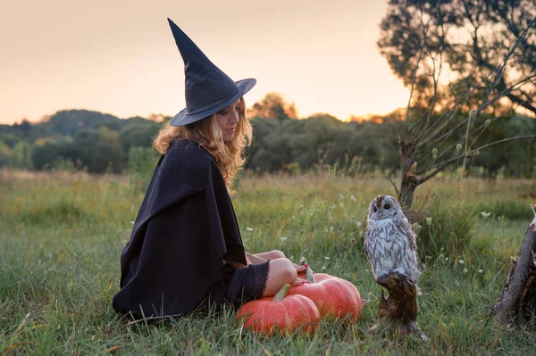 Sorcière Dans Champ Avec Une Chouette Préparant Pour Sabbat — Photo