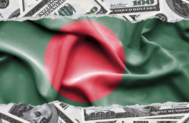 Ulusal çapta Amerikan para biriminin banknotlarıyla finansal konsept 