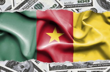 Ulusal çapta Amerikan para biriminin banknotlarıyla finansal konsept 