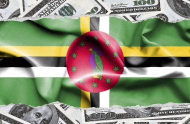 Ulusal çapta Amerikan para biriminin banknotlarıyla finansal konsept 