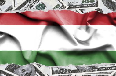 Ulusal çapta Amerikan para biriminin banknotlarıyla finansal konsept 