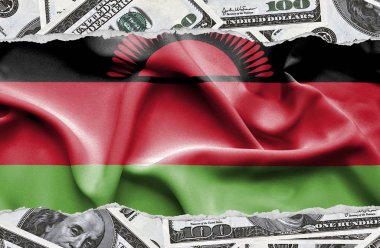 Ulusal çapta Amerikan para biriminin banknotlarıyla finansal konsept 