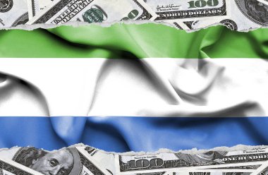 Ulusal çapta Amerikan para biriminin banknotlarıyla finansal konsept 