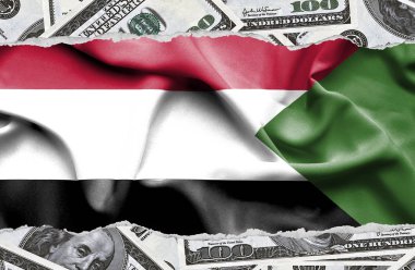 Ulusal çapta Amerikan para biriminin banknotlarıyla finansal konsept 