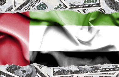 Ulusal çapta Amerikan para biriminin banknotlarıyla finansal konsept 