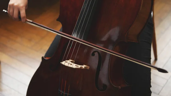 Close Van Cello Met Strik Handen — Stockfoto