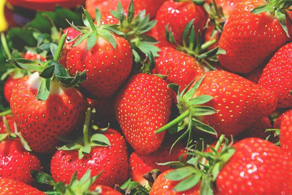 Haufen Frischer Erdbeeren — Stockfoto