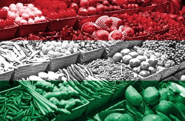 Variety Fresh Fruits Vegetables National Flag Hungary — Stock Photo, Image