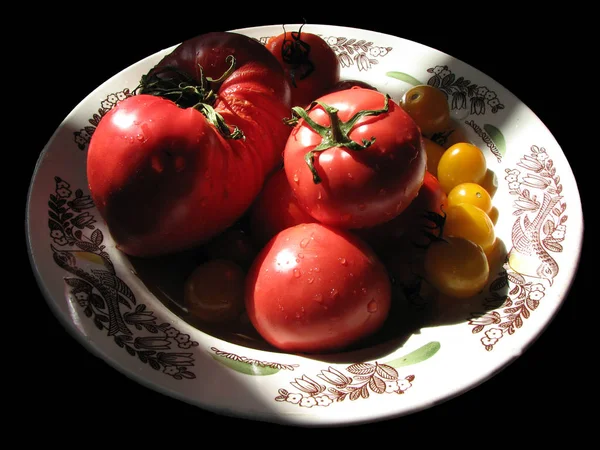 Prato Isolado Com Tomates Vermelhos Amarelos Caseiros Maduros Fundo Preto — Fotografia de Stock