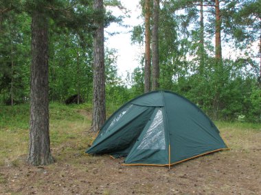 Bir açılan koyu yeşil kamp çadır bir ormanda bir yaz gününde duruyor.