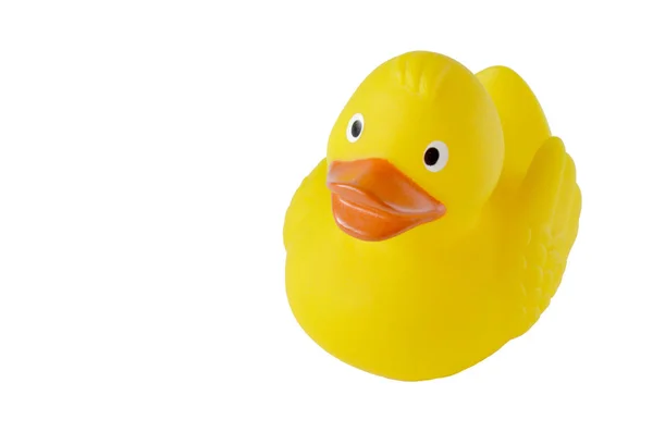 stock image Isolated yellow toy rubber duck on a white background