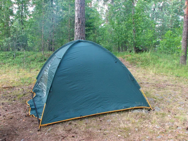 Een Gesloten Donker Groene Camping Tent Staat Een Forest Een — Stockfoto