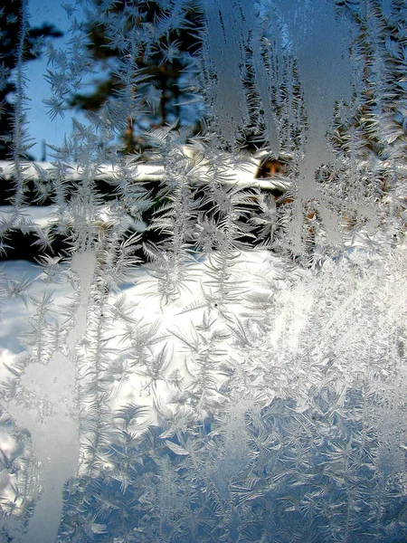 玻璃上的冬日花纹 垂直背景 — 图库照片