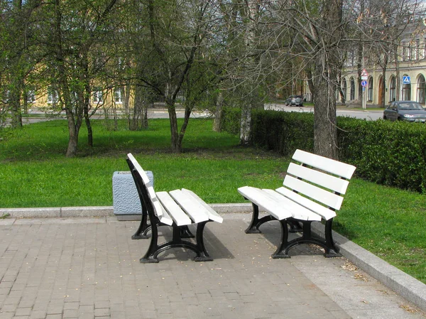 公园里有两张白色的长椅 朋友用的长椅 — 图库照片