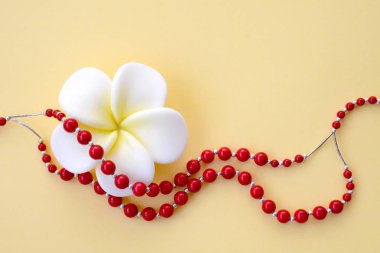 White with yellow flower and bright red coral beads with silver accents on a yellow background. Concept of International Women's Day, Mother's Day, Valentine's Day