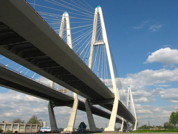 Nederst Big Obukhovsky Bridge Solrik Sommerdag Petersburg Russland Kabelbro – stockfoto