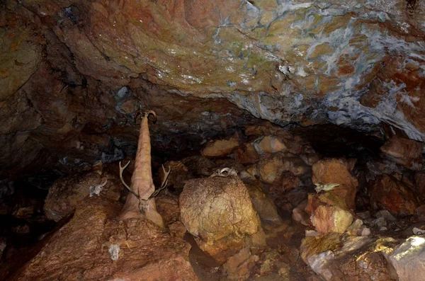 Czaszki z rogami zwierząt w jaskini czerwony — Zdjęcie stockowe