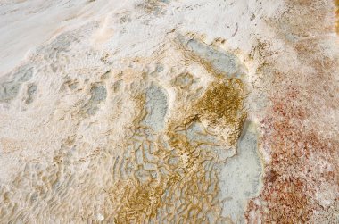 Beyaz ve sarı kireçtaşı ve tuz St yakın çekim pullu doku