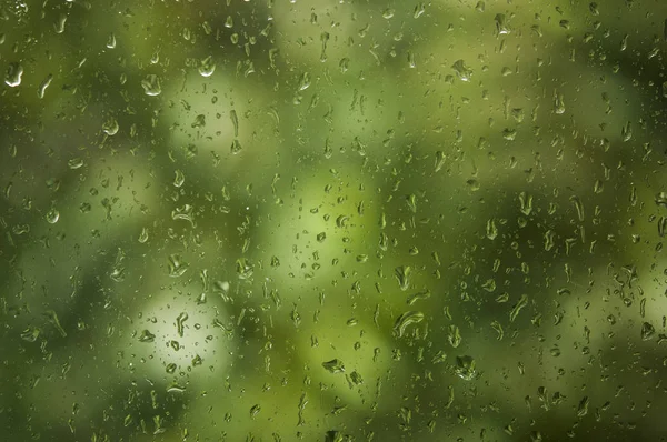 Rain drops on window with green tree in background