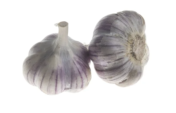 Garlic Head Garlic Isolated White Background — Stock Photo, Image