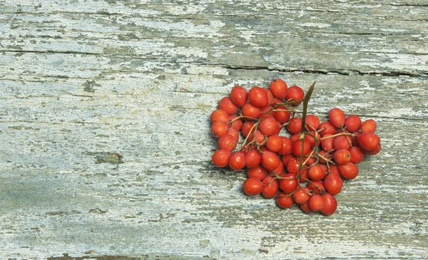 Eberesche Mit Grünem Blatt Auf Blauem Holztisch Ansicht Von Oben — Stockfoto