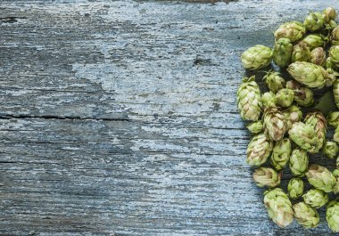 Dal eski ahşap masa arka plan üzerinde hop. Vintage tarzı