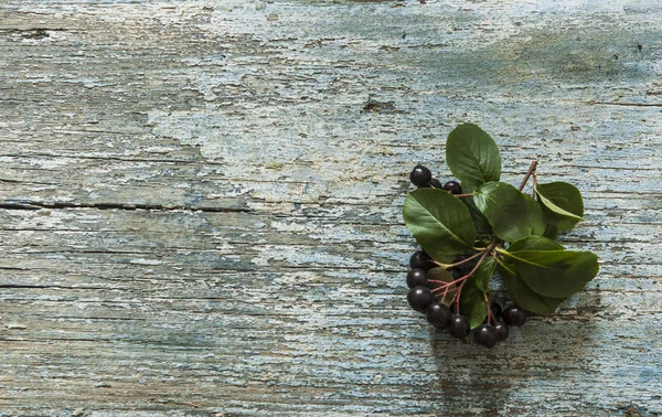 Fából Készült Asztal Fekete Chokeberry Aronia Melanocarpa — Stock Fotó
