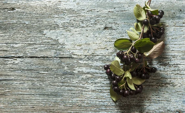 Zwarte Chokeberry Aronia Melanocarpa Houten Tafel — Stockfoto
