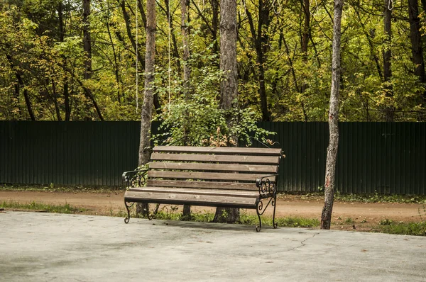 公園内の木製公園ベンチ — ストック写真