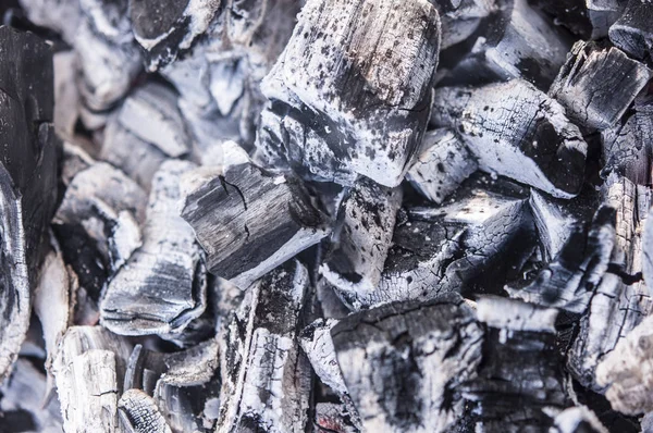 Worst Spiesjes Grill Picknick Het Bos — Stockfoto