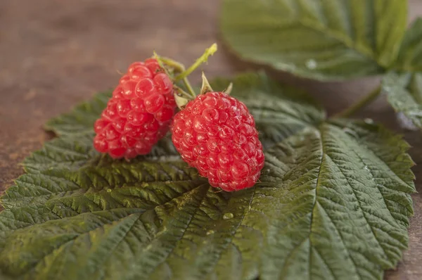 Himbeeren Mit Blättern Auf Dem Alten Holztisch — Stockfoto