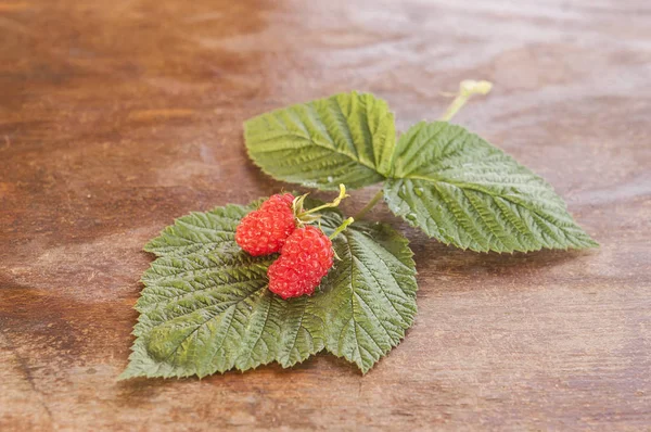 Himbeeren Mit Blättern Auf Dem Alten Holztisch — Stockfoto