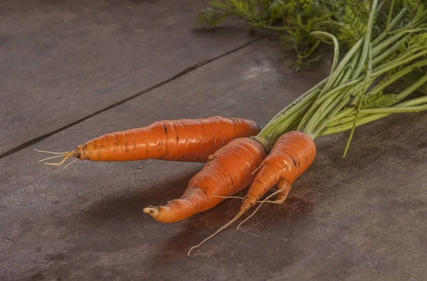 Ferme Élevage Carottes Biologiques Sur Fond Bois — Photo