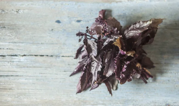 Pianta Piccante Basilico Con Brillanti Foglie Viola Sfondo Legno Sfocato — Foto Stock