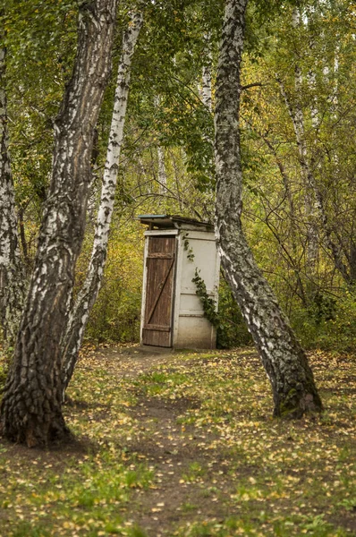 Old Wooden Toilet Cabin Autumn Forest — Stock Photo, Image