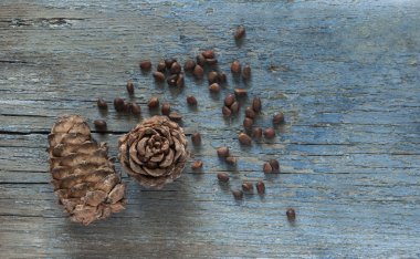 Çam fıstığı ve çam kozalakları ahşap arka plan üzerinde