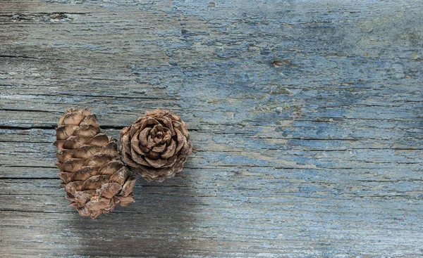 Pine nuts and pine cones on wooden background
