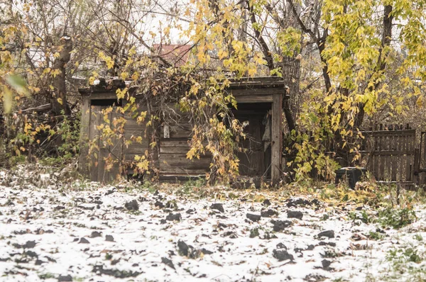 Abandoned Dilapidated Rural House Garden Winter View Snowfall — Stock Photo, Image