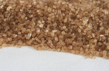 Beyaz arka plan üzerinde ham şeker kamışı