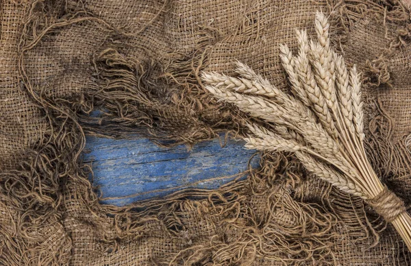 Agricultural still life from ears of wheat on a wood background. Top view