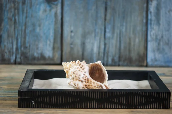 Conchas Mar Sobre Una Mesa Madera Como Fondo Vacaciones — Foto de Stock