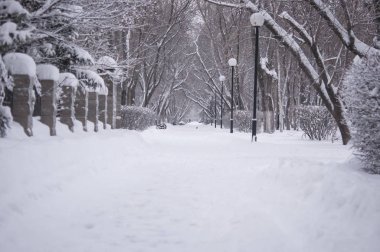 Güneşli güzel kış park boş sokakta