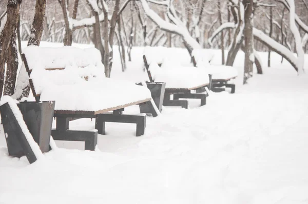 Banc Dans Parc Dans Neige Hiver — Photo